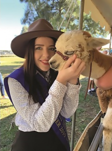Hawkesbury Show