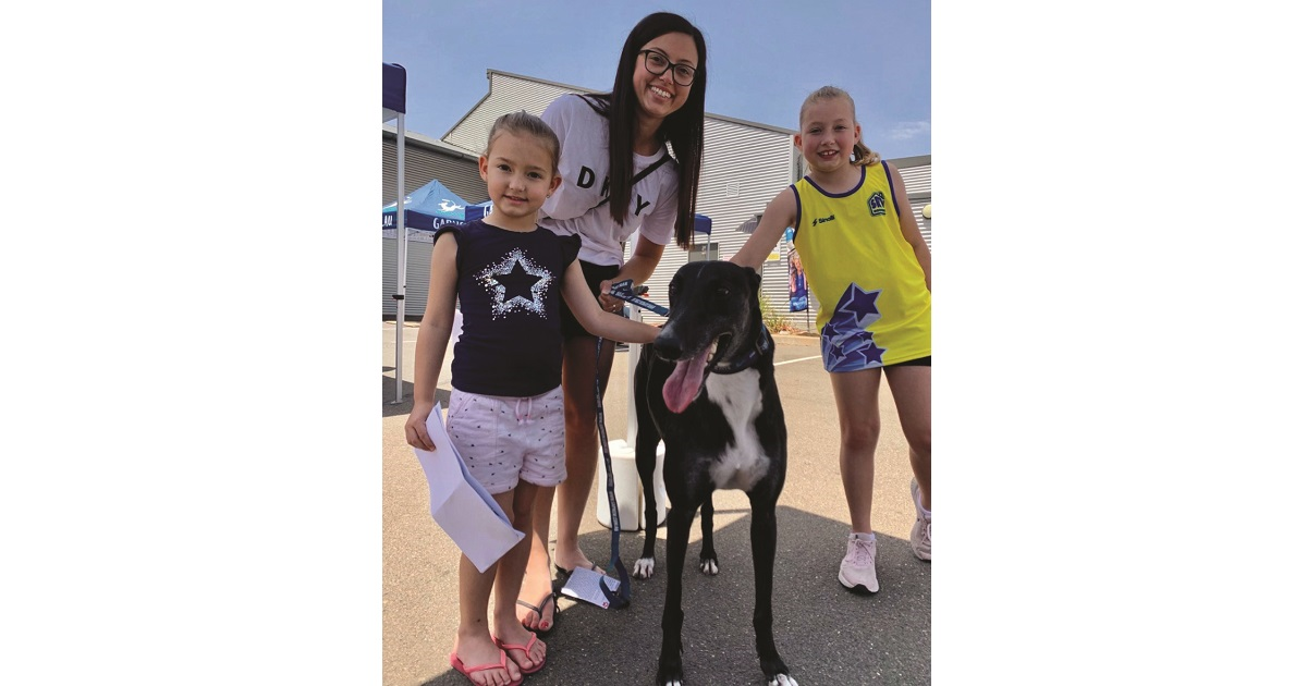 Adoption Day