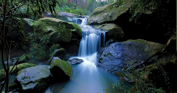 bushwalk