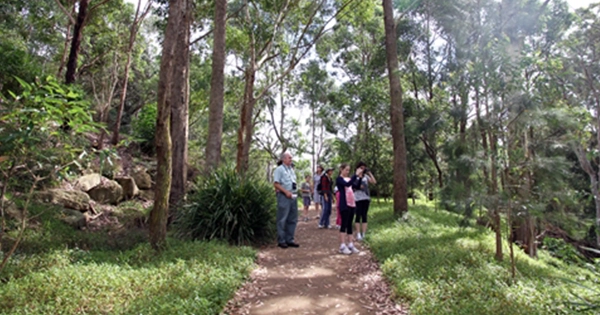 bushwalks