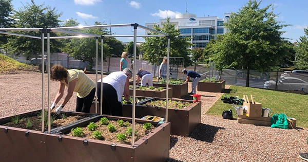 community garden