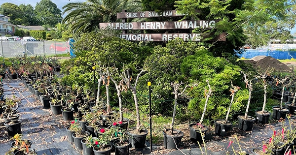Rose Garden Refurbishment