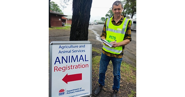domestic animal