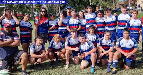 Norwest Bulls