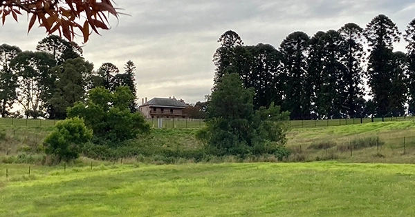 beautiful music at Bella Vista Farm