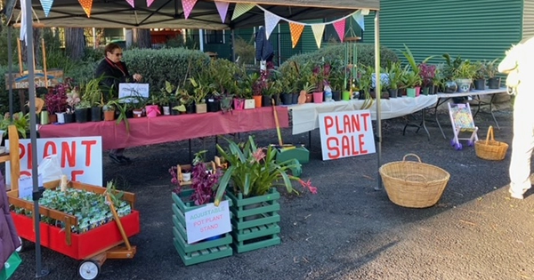 market day
