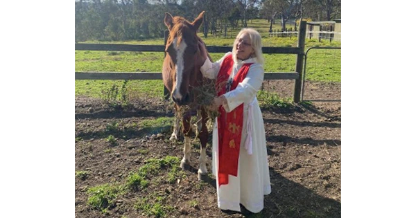Pet Blessing