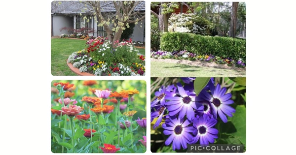 Annual Garden Competition