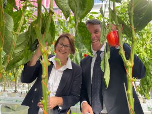 Food Security Hawkesbury