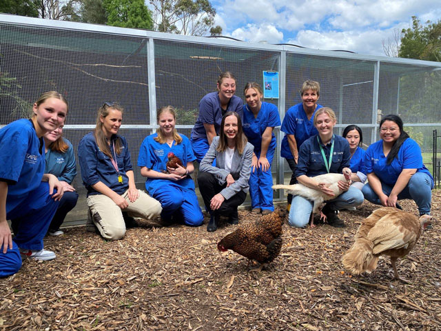 Richmond TAFE to receive $2m upgrade to Vet Training Facilities Richmond TAFE to receive $2m upgrade to Vet Training Facilities - Richmond TAFE to receive $2m upgrade to Vet Training Facilities Veterinary Nurses Richmond Tafe