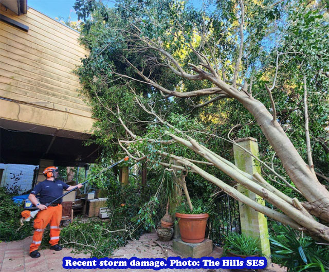 Baulkham Hills and Castle Hill Storm Damages Baulkham Hills and Castle Hill Storm Damages - Baulkham Hills and Castle Hill Storm Damages 319137900 209266141540256 5281672584234149454 N Baulkham Hills And Castle Hill Storm Damages
