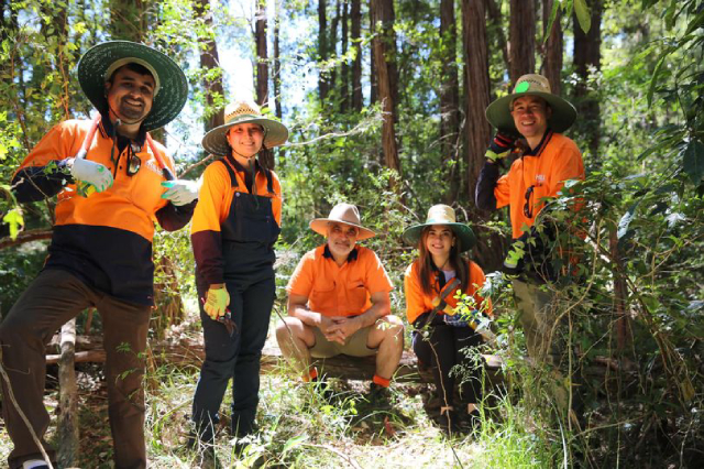 Restoring Bushland Around Eric Mobbs Reserve in Castle Hill Restoring Bushland Around Eric Mobbs Reserve in Castle Hill - Restoring Bushland Around Eric Mobbs Reserve in Castle Hill Restoring Bushland Restoring Bushland Around Eric Mobbs Reserve In Castle Hill