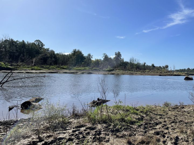 Blue - Green Algae Amber Alert - Yarramundi Blue - Green Algae Amber Alert - Yarramundi - Blue - Green Algae Amber Alert - Yarramundi Blue Green Algae Blue - Green Algae Amber Alert - Yarramundi