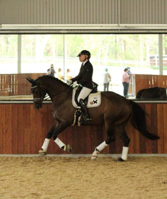 KTW Dressage