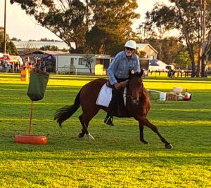 An image of Peter Nelson aboard his steed, Charger. 