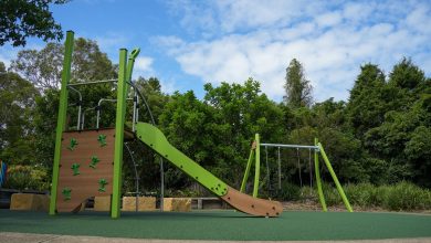 Alice Robinson Reserve Playground