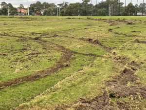 Damage to Samantha Riley Drive Reserve