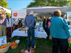Hawkesbury Fest Stalls