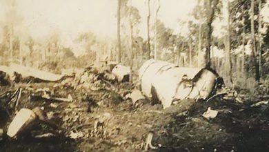 Dural and District Historical Society
