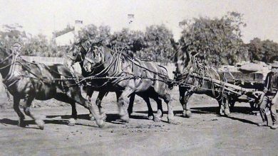 Doug Lanceley From Newtown Tonorwest