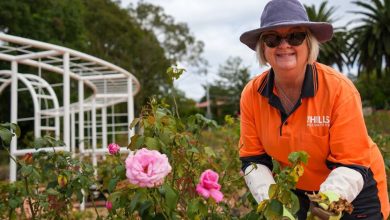 Celebrating National Volunteer Week