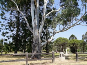 Wilberforce Park Playground