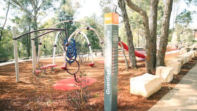 guardian avenue reserve playground