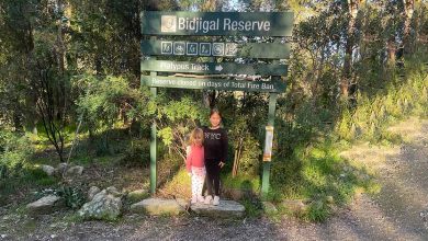 Bidjigal Reserve