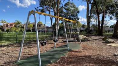 Brampton Drive Reserve swing set