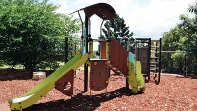 Coolock Crescent Reserve front playground