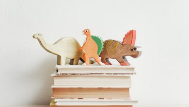 Dinosaur storytime at Baulkham Hills Library