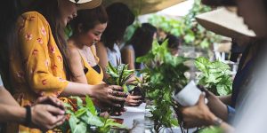 Eden Gardens Kokedama Workshop