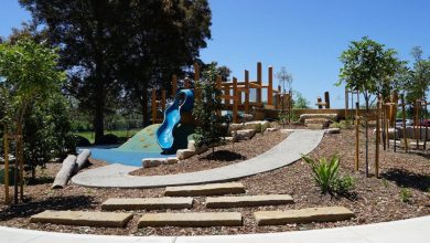 Governor Phillip Park playground