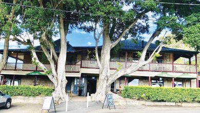 Wiseman’s Ferry – It’s Just Up The Road