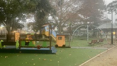 Richmond Park Playground - Scheduled Works