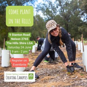 Tree planting by the Greater Sydney Landcare