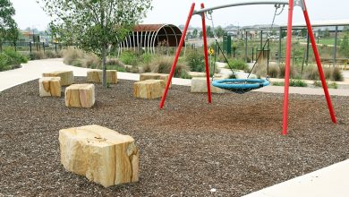 Wheelie Park swing