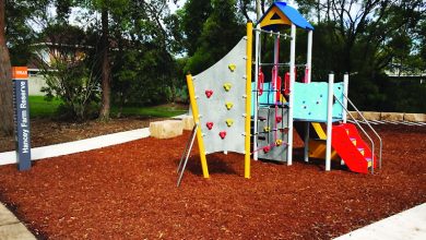 Hancey Farm Reserve playground unit