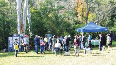 Colah Creek Platypus Q & A And Creekline Habit Planting Event