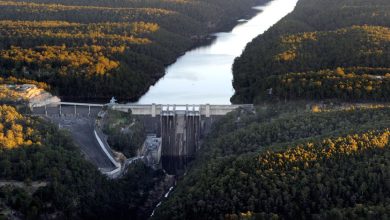 Potential Issues Found in Warragamba Dam