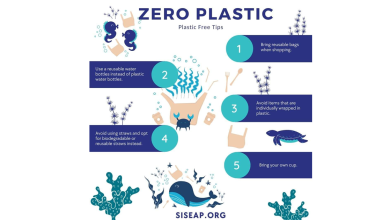 5 Easy Ways to Reduce Your Plastic Use