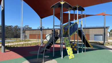 Balmoral Road Reserve slides