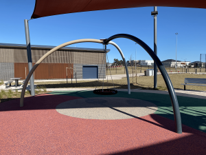 Balmoral Road Reserve basket swing