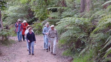 Winter Bushwalking Season Kicks Off