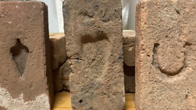 Convict Sandstock Bricks - Pam Wilson
