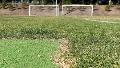 Time to Blow the Whistle on Synthetic “Turf”?