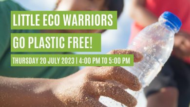 Little Eco Warriors Castle Hill Library