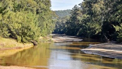 Colo River