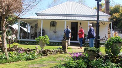 Hills Garden Competition
