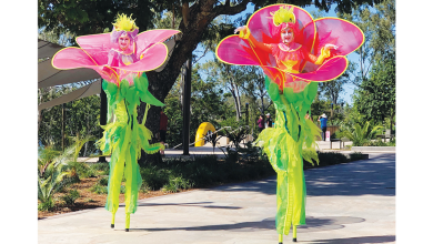 Savour A Taste Of Spring at The 2023 Orange Blossom Festival